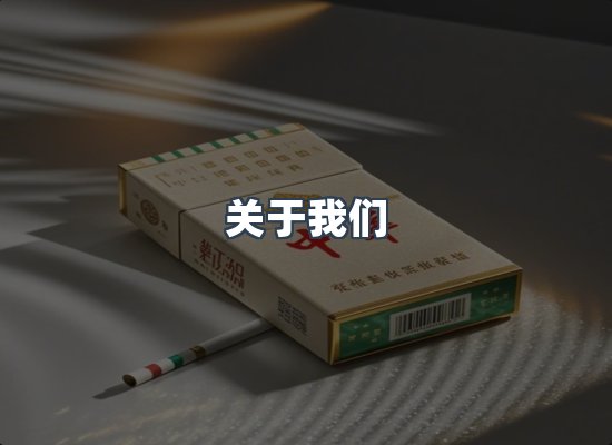 关于我们
